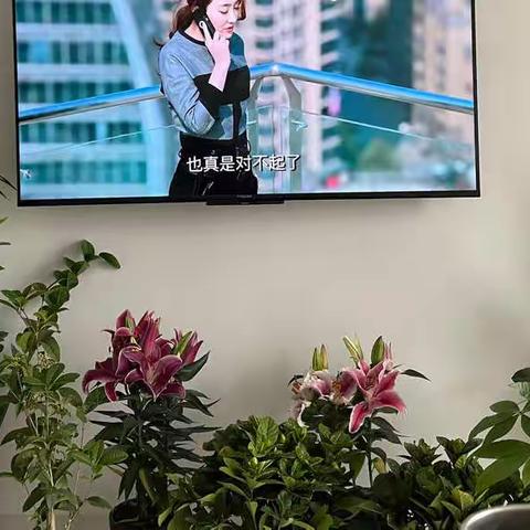 平平无奇的寒假时光