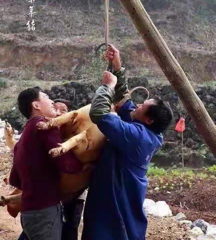 【同题微小说·迎春】灵念的年猪