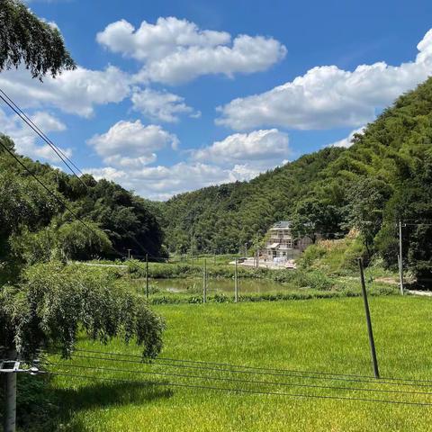 【同题闪小说·春风】春风十万里