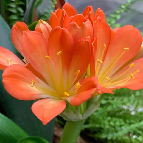 【同题微小说·迎春】男女同事