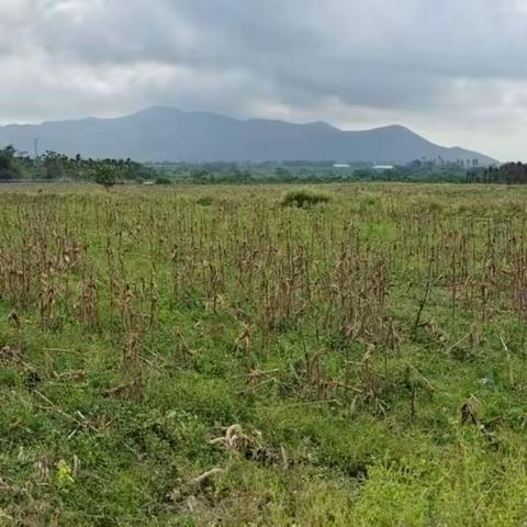 秸秆禁烧巡查日志