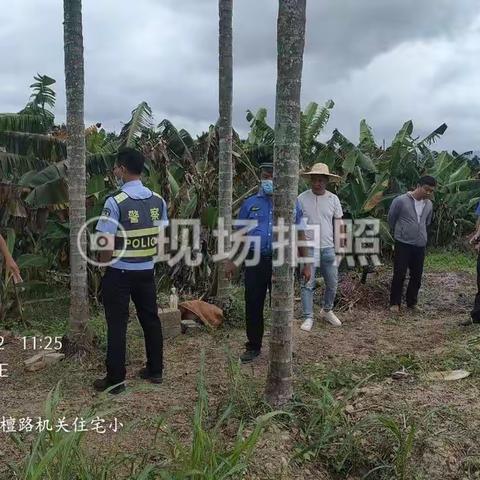 开展秸秆焚烧巡查行动