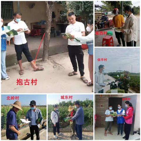 崖州区开展推广宣传《三亚市主要作物测土配方施肥技术手册》活动