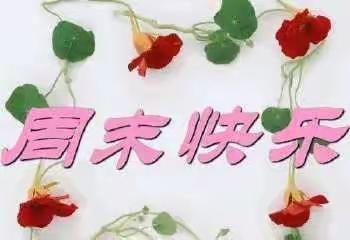 金苹果幼儿园小班日常