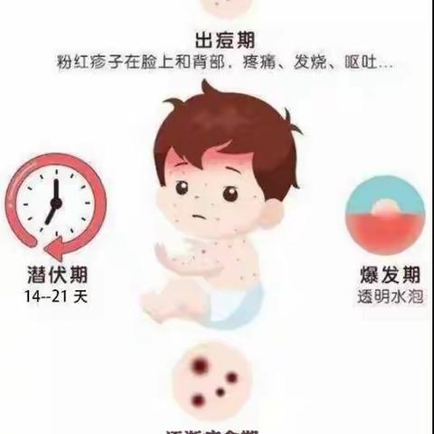 南蔡好孩子幼儿园——      预防水痘       守护健康