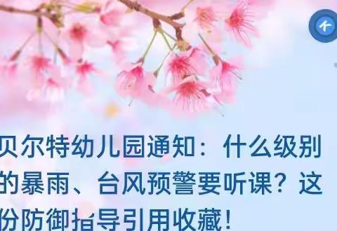 贝尔特幼儿园通知：什么级别的暴雨、台风预警要听课？这份防御指导引用收藏！