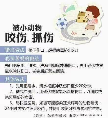 宝宝意外受伤的正确处理办法！