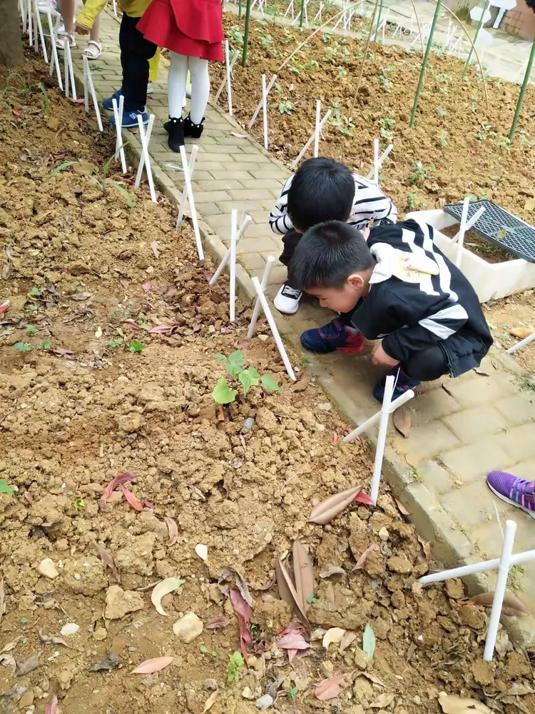 播种希望收获美好