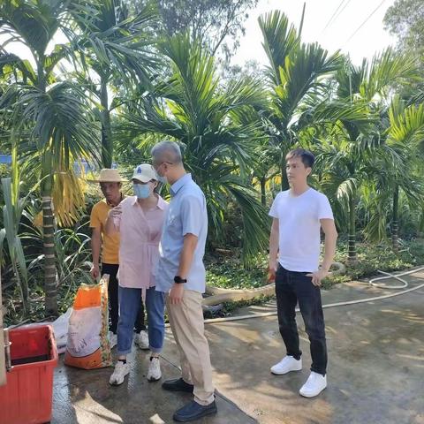 吉阳区乡村振兴局苏天波副局长到红花村查看资源化利用工作