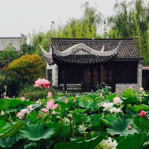 中汇支行成功举办“相约九龙口 共赏非遗景”主题客户活动