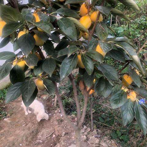 深秋季节时的记录
