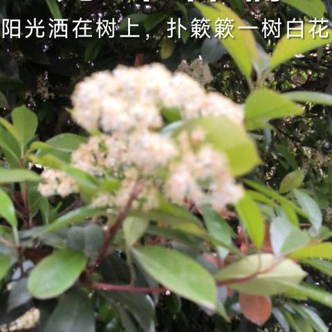 深情地爱你