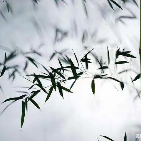 知前路而不后悔