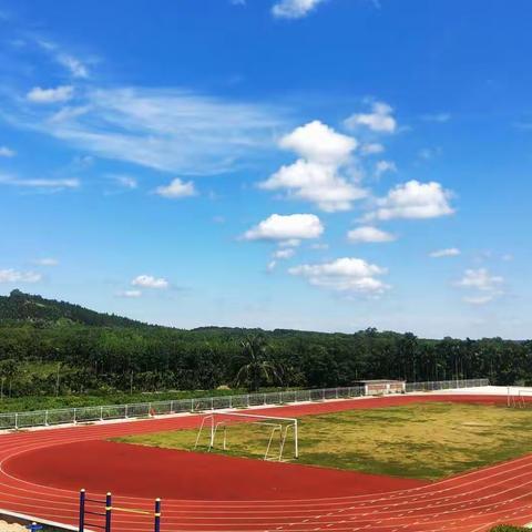 【坡寨色彩】同心协力    共谋发展--2020年春季第十四周工作简记