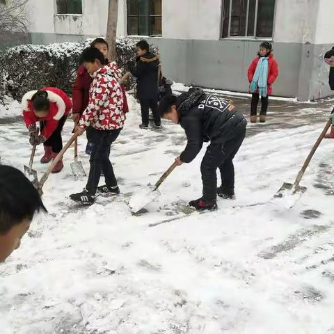 大雪纷飞满校园 齐心协力保安全