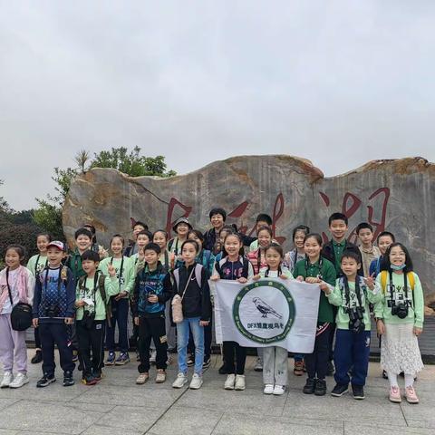 阳光正好，微风不燥—记新学期海珠湖观鸟