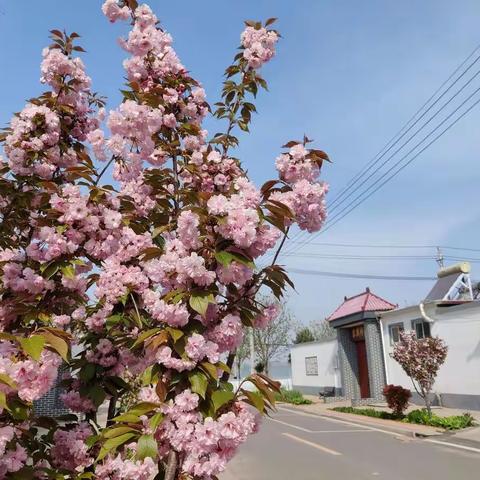 改善人居环境，建设美丽宜居乡村