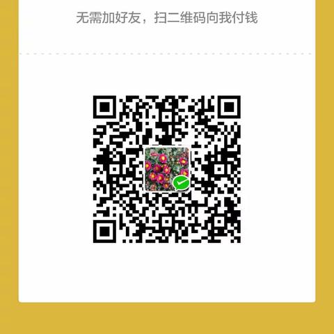 我的美篇