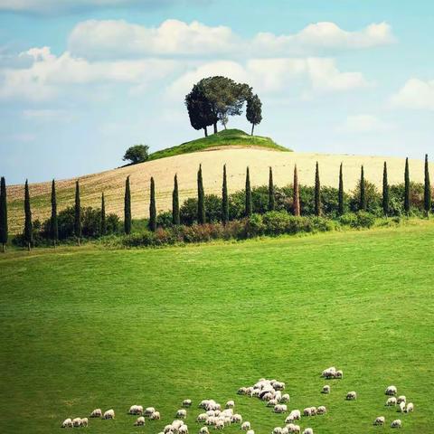 省民调工作来了，请您接到电话后耐心配合