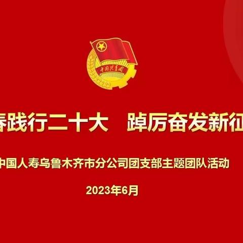 青春践行二十大，踔厉奋发新征程   中国人寿乌鲁木齐市分公司团支部主题团日活动