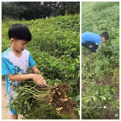 三三班学生暑假活动小结