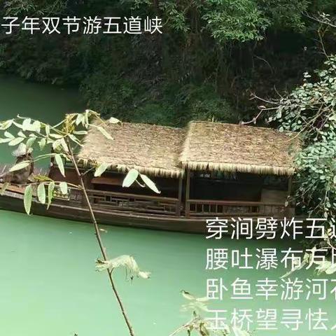 泉水的美篇