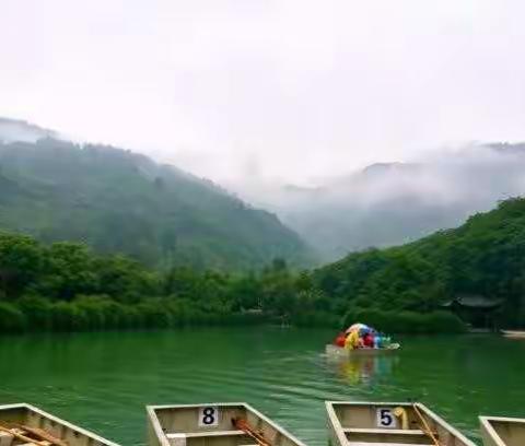 水木有佳色，山貌日高古—桐庐三日疗养