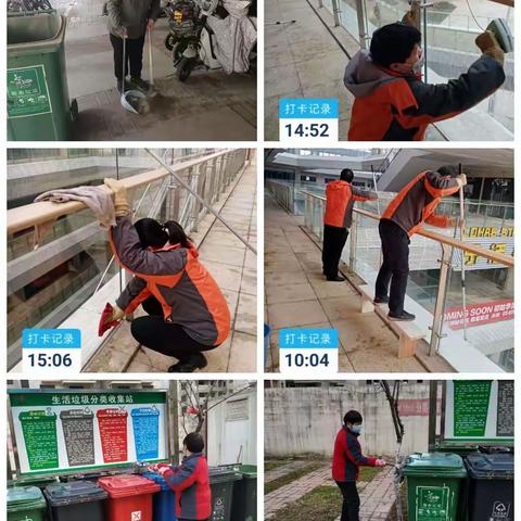 立丰国际社区垃圾分类工作周报