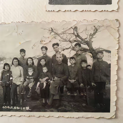 看家族老照片有感