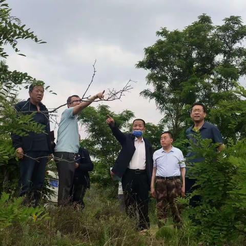 市水利局在漳源镇实地调研漳河源头水保治理项目