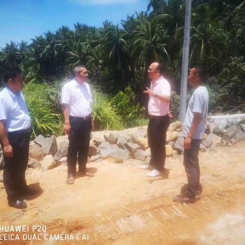 文昌市交通局整改环保督察工作