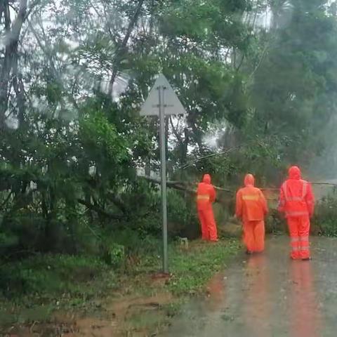 【能力提升建设年】“暹芭”来袭，文昌市交通运输局积极行动，开展道路除障保通工作