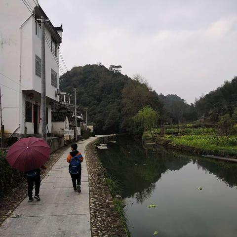 20190318婺源桃溪村