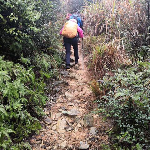 20190303灵山天梯峰