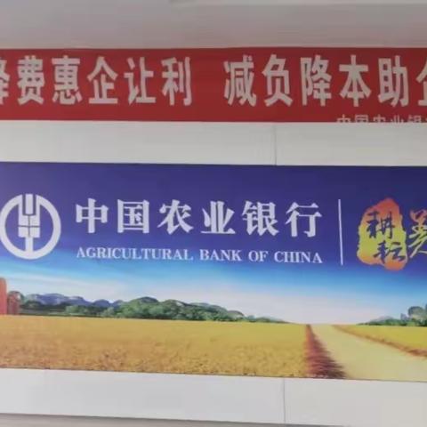 安图支行支付服务减费让利政策宣传工作情况