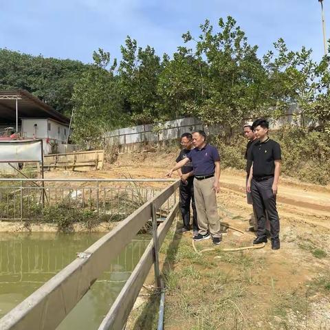 县人大常委会副主任潘思群在文儒镇开展“河长制”第四季度巡河工作