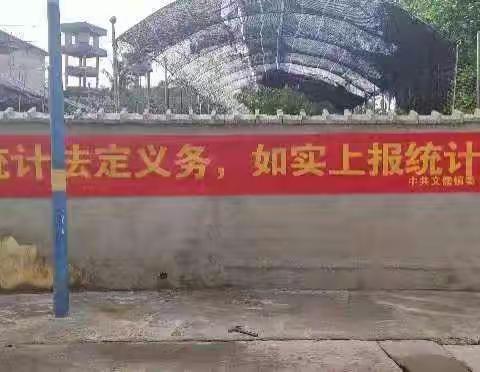 文儒镇开展统计法宣传活动