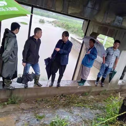 路超的美篇迎战“利奇马”，荷花路街道王家闸村在行动！