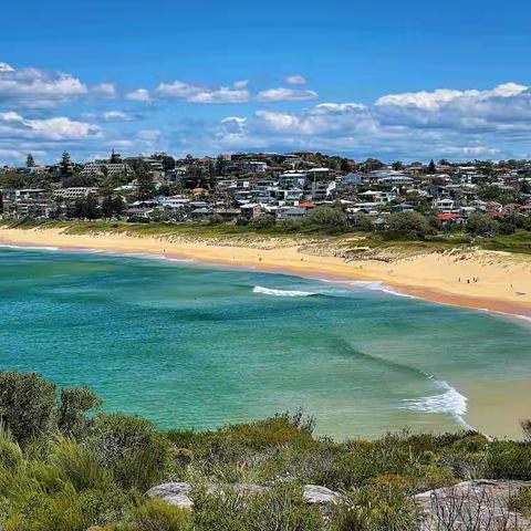 手机随拍 - Dee Why Beach/ Curl curl Beach 拾影