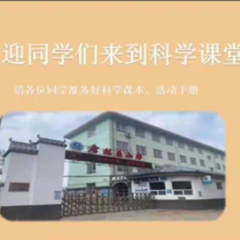 莲池区小学科学骨干教师线上展示课活动——教科版五年级下册《环境与我们》单元第四课《解决垃圾问题》