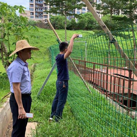 城西镇8月26日工作日报