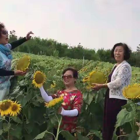 花海情缘