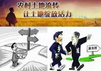 签订土地流转合同，这些条款应注意