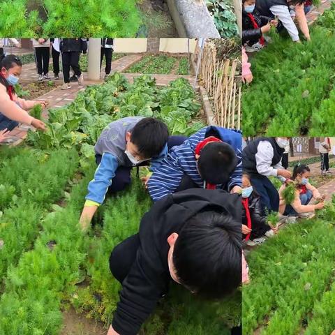 巧手包饺子 劳动促成长——张堡小学师生开展包饺子劳动实践活动