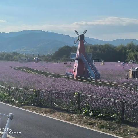 坚持把基层党组织建设成为有效实现党的领导的坚强战斗堡垒