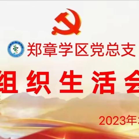 踔厉奋发启新程 砥砺前行攀高峰——郑章学区党总支2022年度组织生活会