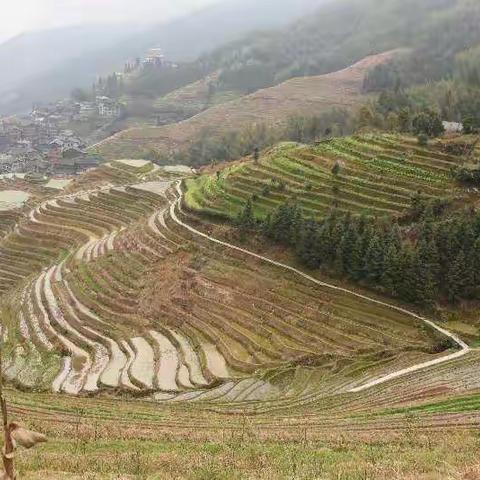 桂林山水甲天下