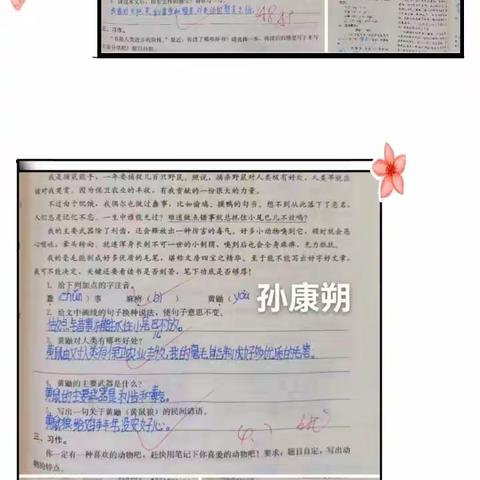 展我优秀作业 亮我学生风采