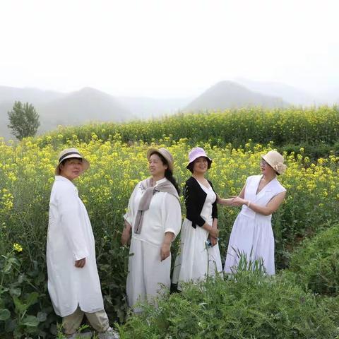 白道峪村油菜花