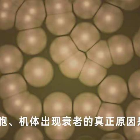 失眠多白天觉得乏力，只是上了年纪吗，适当保养保持充沛精力！